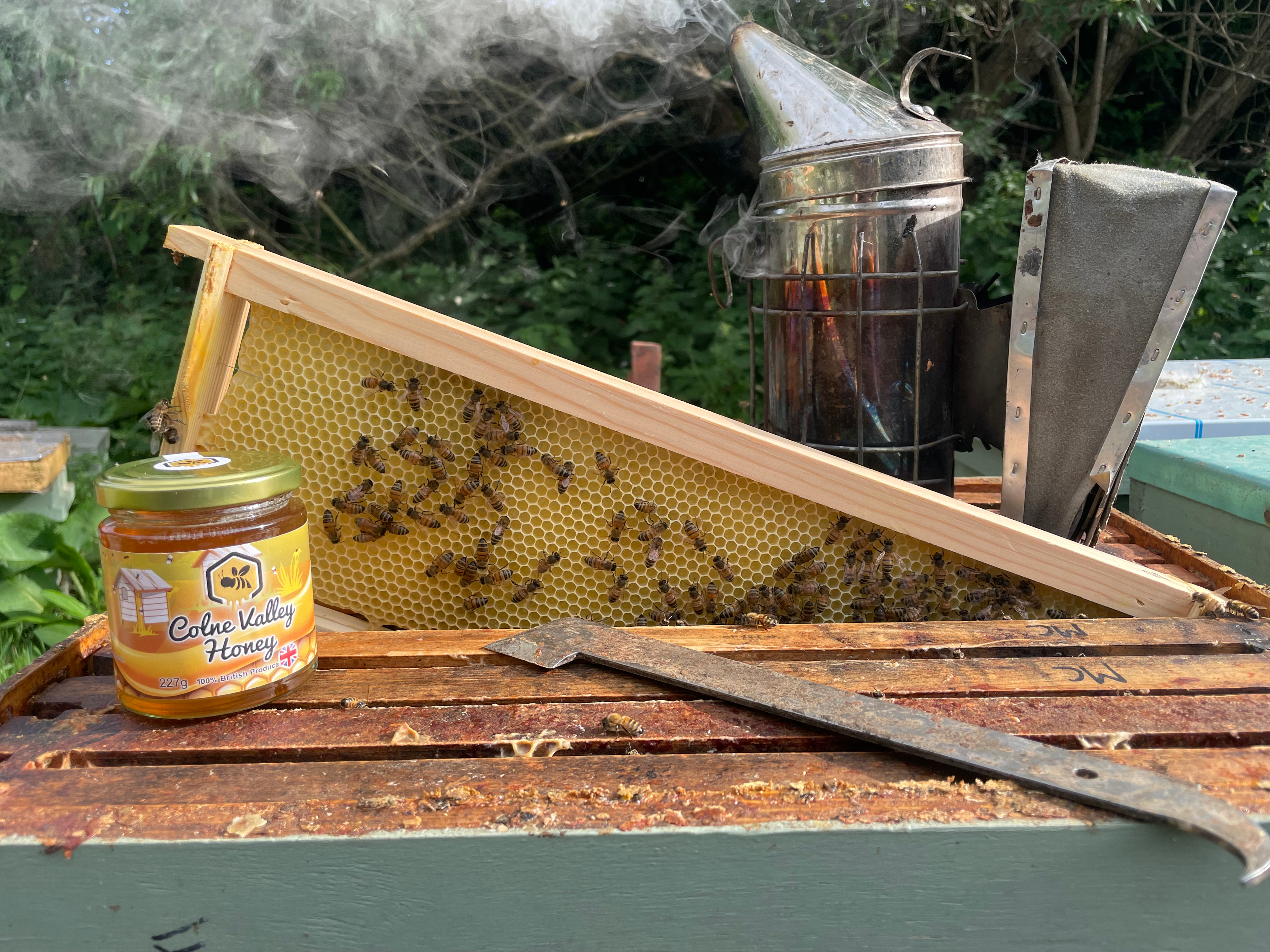 227g Early Summer Honey