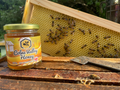 227g Early Summer Honey