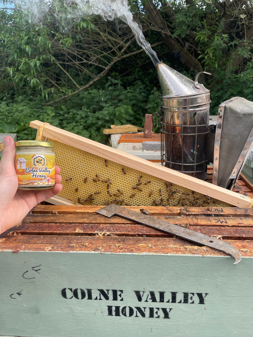 227g Spring Softset Honey
